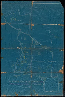Harvard College Forestry - Tom Swamp I-VIII