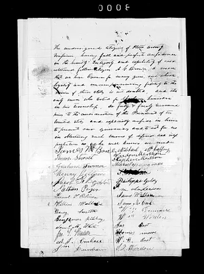 p. 11