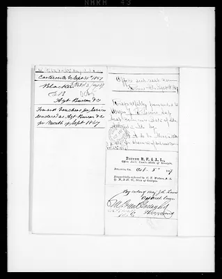 p. 43