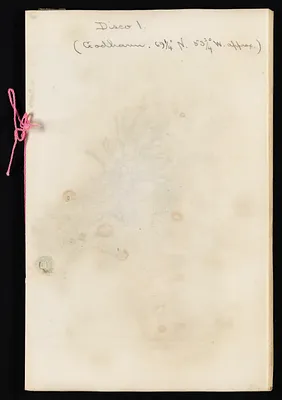 p. 41