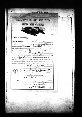 p. 51