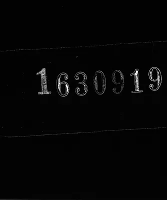 (Roll 11) Petitions for Citizenship 3057-3126; 1929-1930