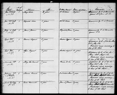 p. 31