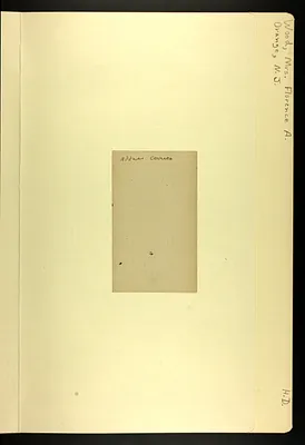 p. 10