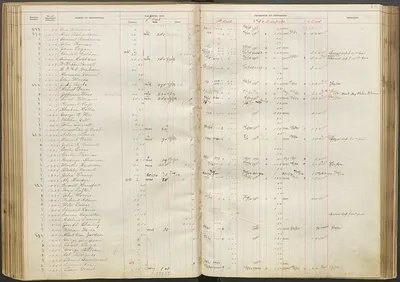 p. 41