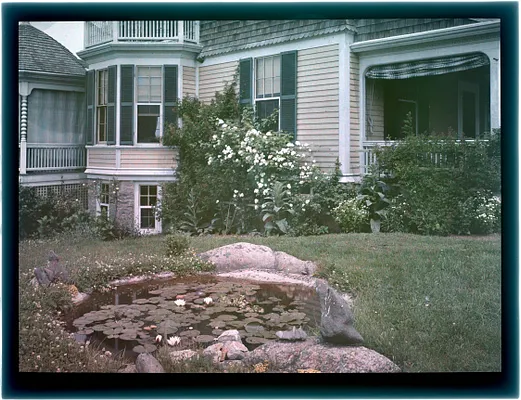 Pond and bushes at "Redgate," Marblehead, MA