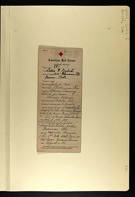 p. 8