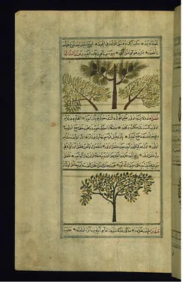 Pistachio of Syria and Pepper of India
