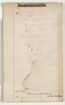 p. 23