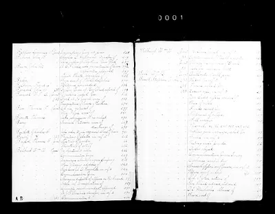 p. 24
