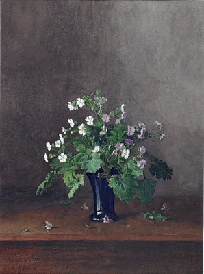 Bouquet of Campions or Hardy Geraniums