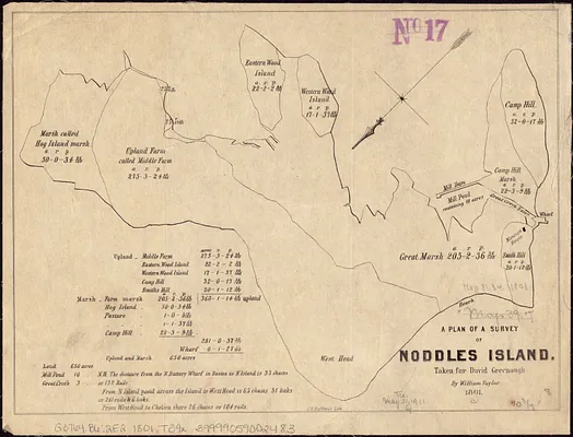 A plan of a survey of Noddles Island