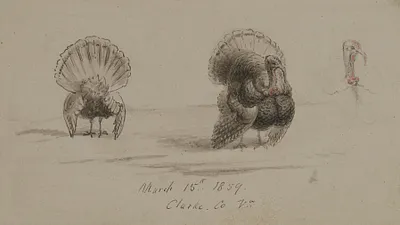 p. 1
