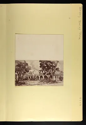 p. 8