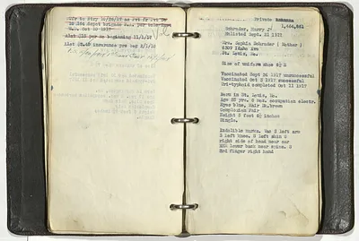 p. 53