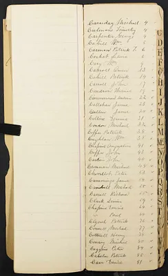 p. 6