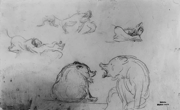 Studies of Bears and Lunging Animals