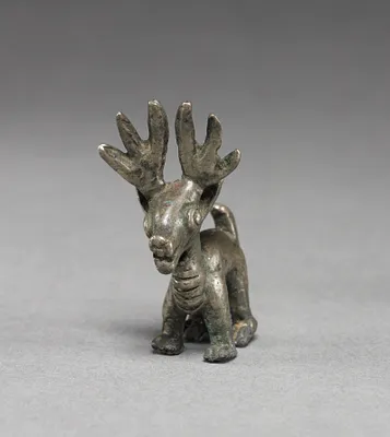 Deer