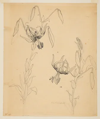 p. 1