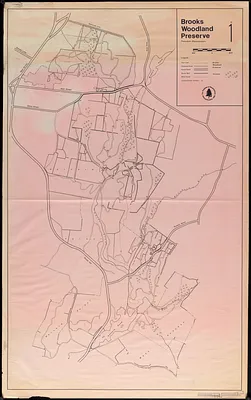 Brooks Woodland Preserve