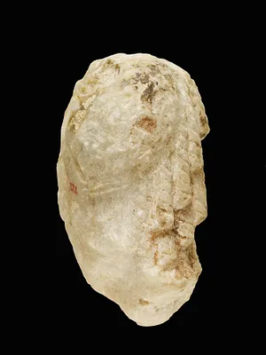 p. 5