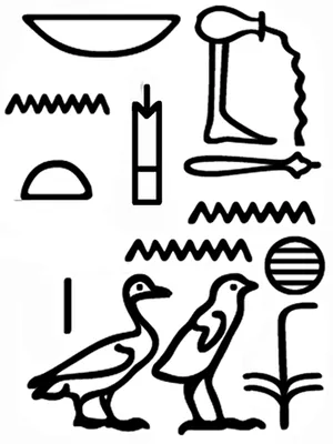 p. 5