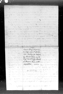p. 19