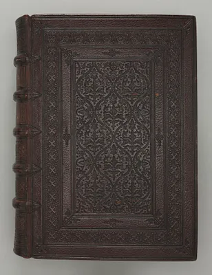 Gothic Bible (Vulgate)