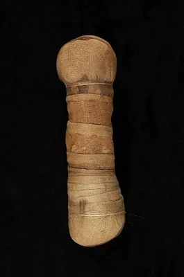 Mummified Cat