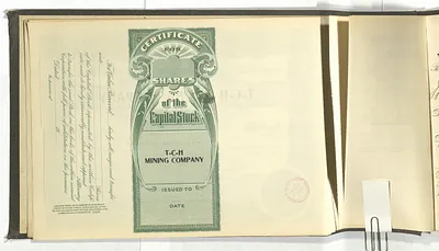p. 7