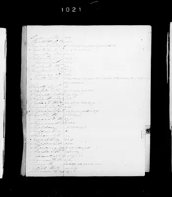 p. 43