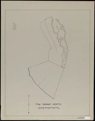 Tom Swamp North