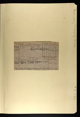 p. 8