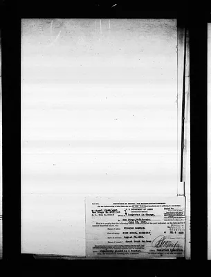 p. 41