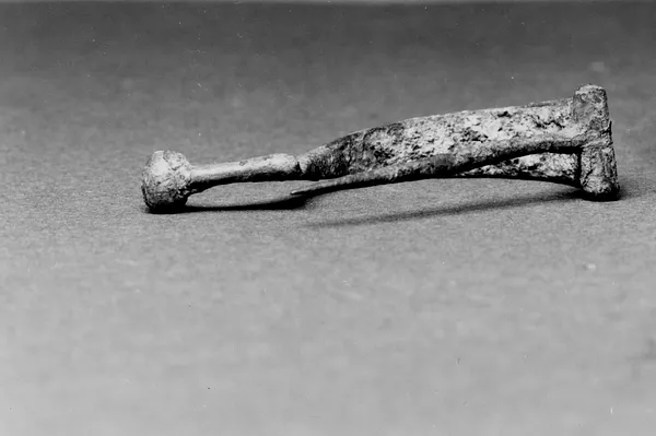 Fibula