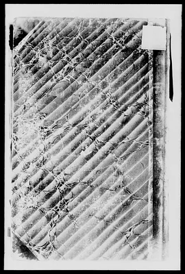 p. 51
