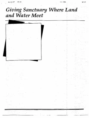 p. 33