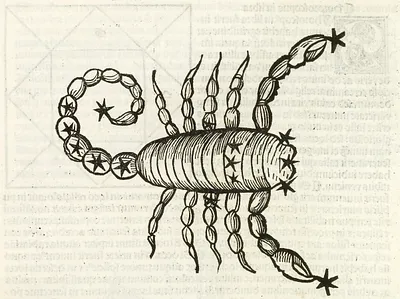 p. 8