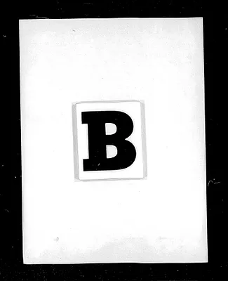p. 19