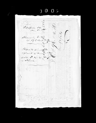 p. 12