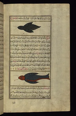 Two Strange Fish from the Vaynah (Vinah?) Seas