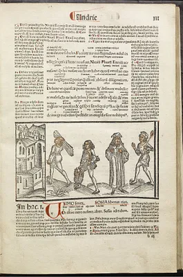 p. 5