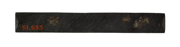 Kozuka with Puppies