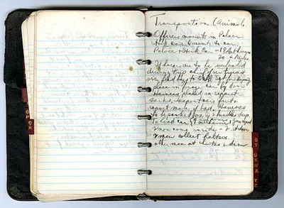 p. 19