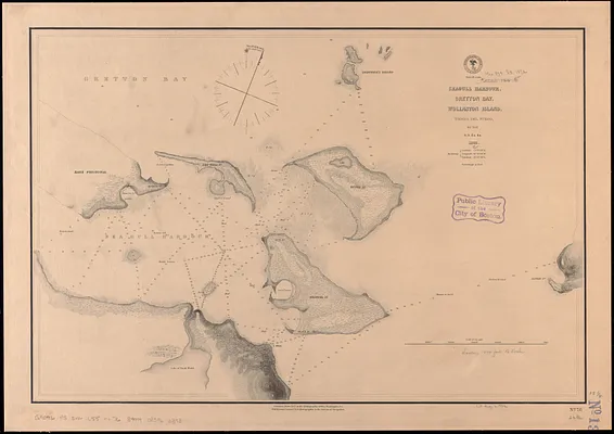 Seagull Harbour, Gretton Bay, Wollaston Island, Tierra del Fuego
