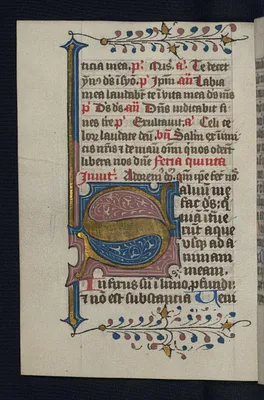 Foliate Initial ""S""