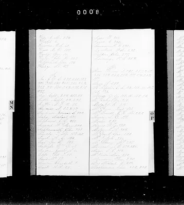 p. 30