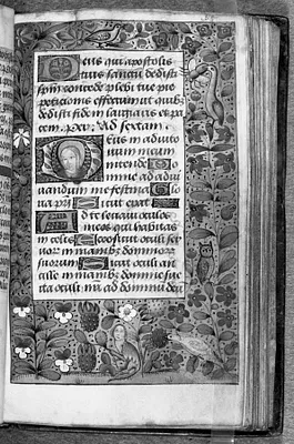 p. 4