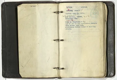 p. 3