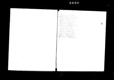 p. 30